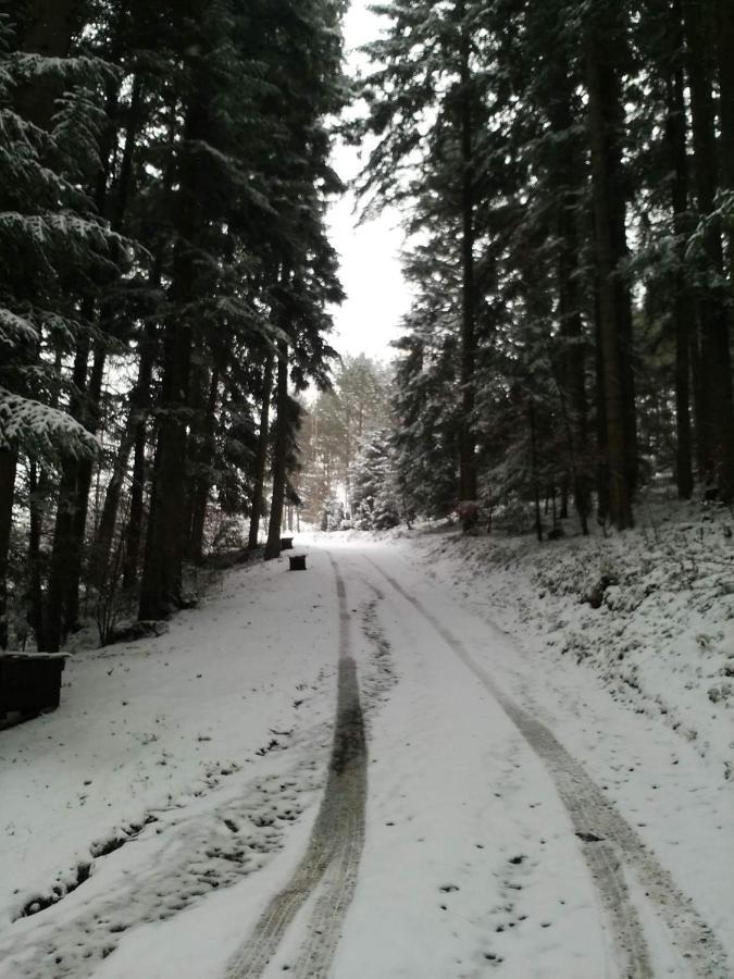 Domek Na Gorce Bieszczady Lesko Exterior photo